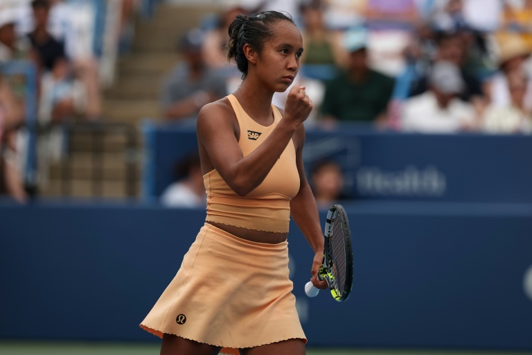 Kalinskaya to face Fernandez in DC Open women's final