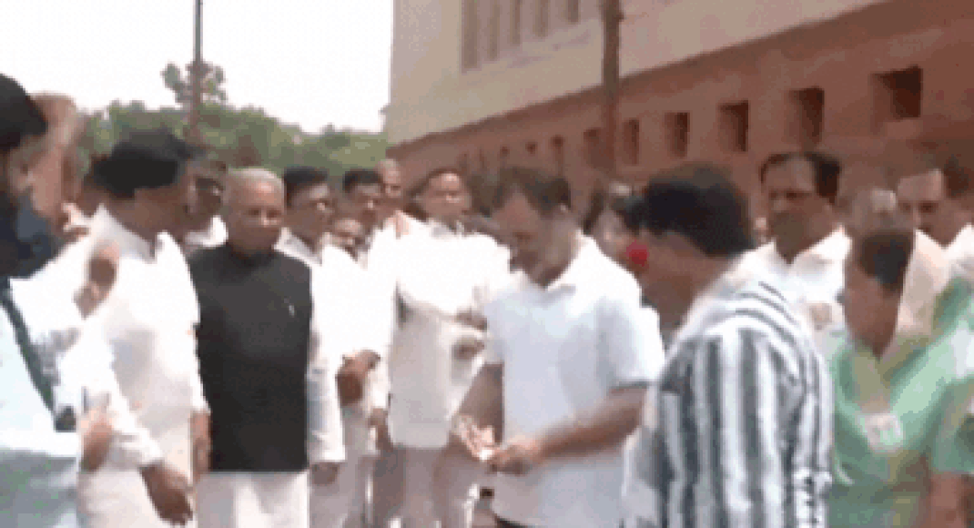 Watch: Rahul Gandhi, Priyanka Gandhi, Dimple Yadav tear SIR placards