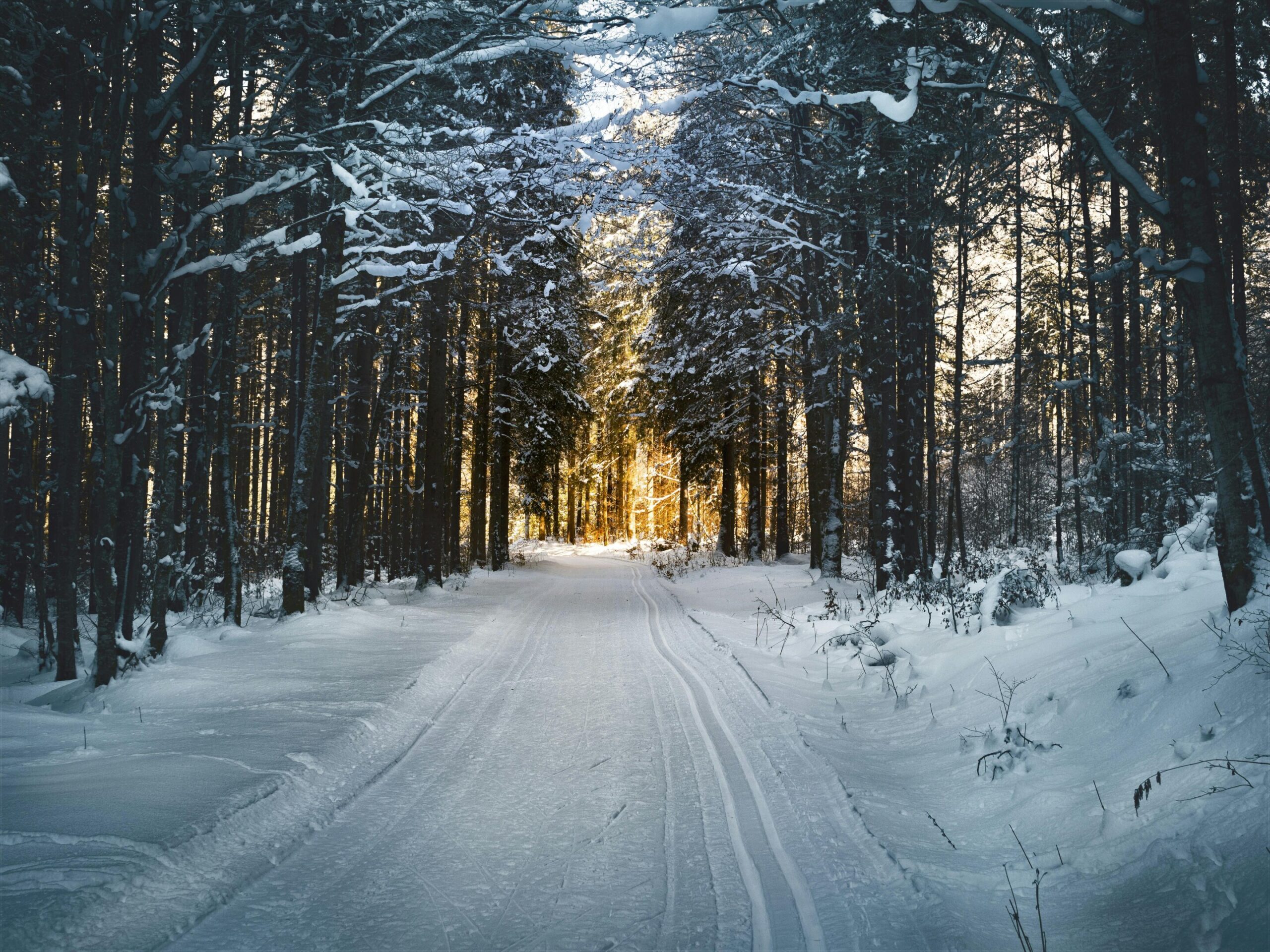 Polar vortex patterns explain shifting US winter cold despite warming climate