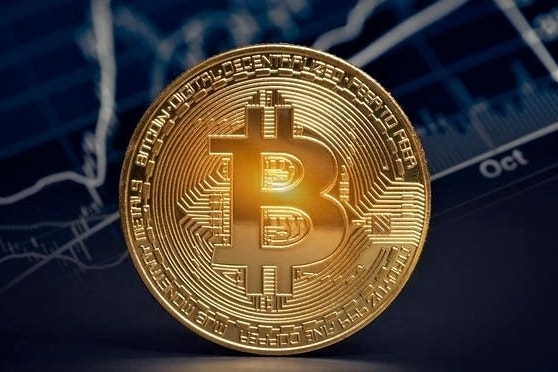 Finance Professors Say Bitcoin Is 'Not Backed By Anything' — Yet Crypto Investors Are Defying The Cr