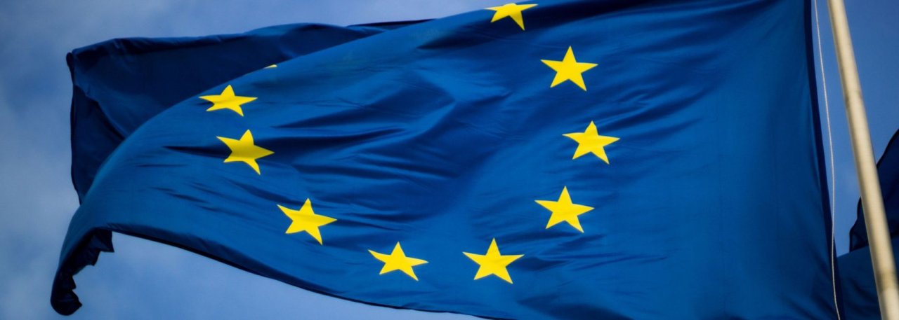 EU Council’s key changes to sustainability laws would limit protections for human rights and the environment
