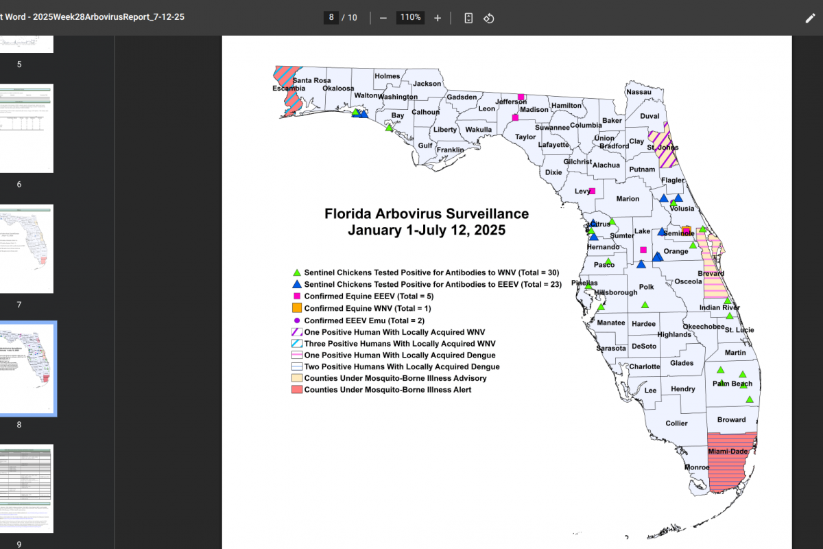 Travelers Diagnosed with Diseases Increase in Florida