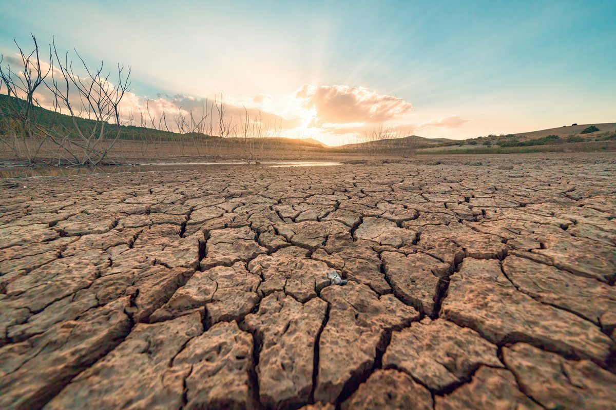 The surprising truth of how land, not ice, is now driving sea level rises | BBC Science Focus Magazi