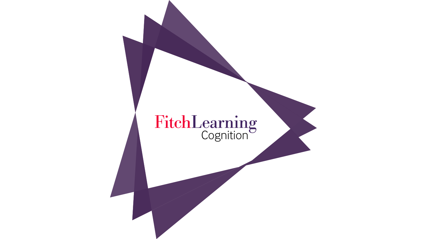 Fitch Launches Annual Careers Guide to Quantitative Finance