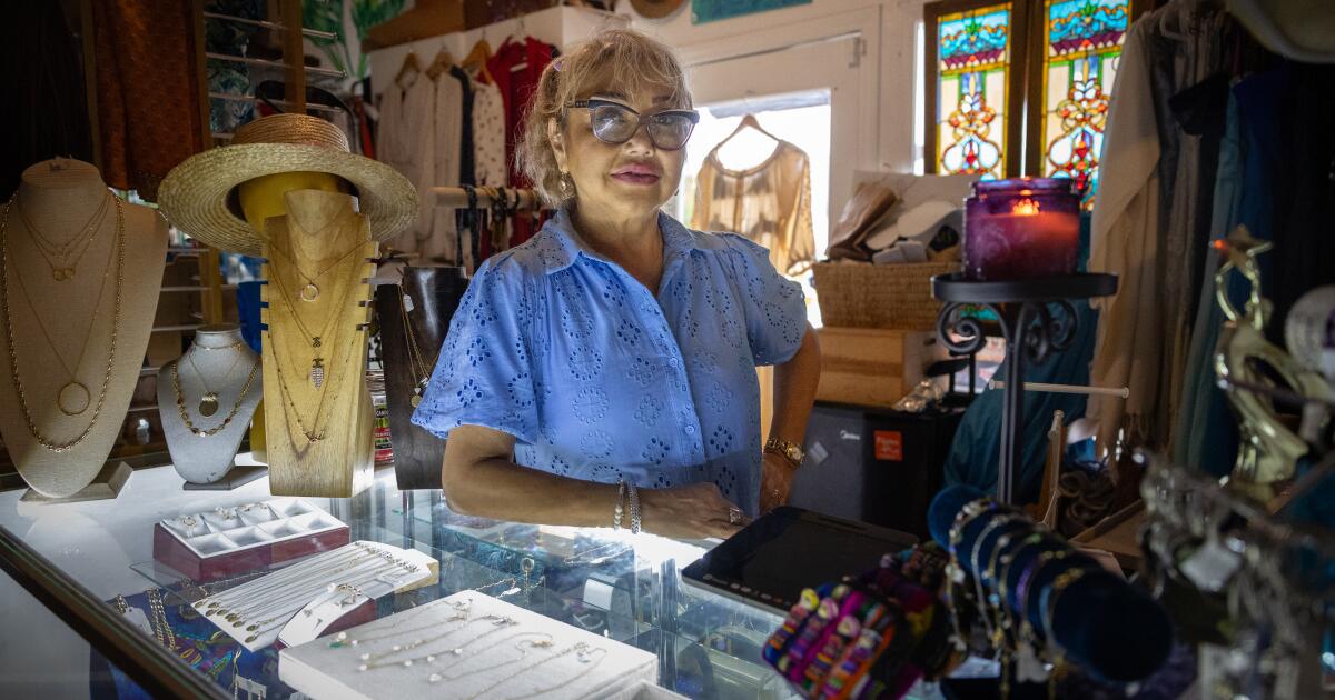 It's peak season in Malibu, but these small businesses are still struggling after the Palisades fire