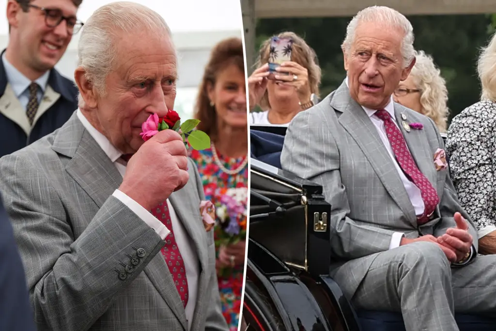 Cancer-stricken King Charles gives rare health update after...