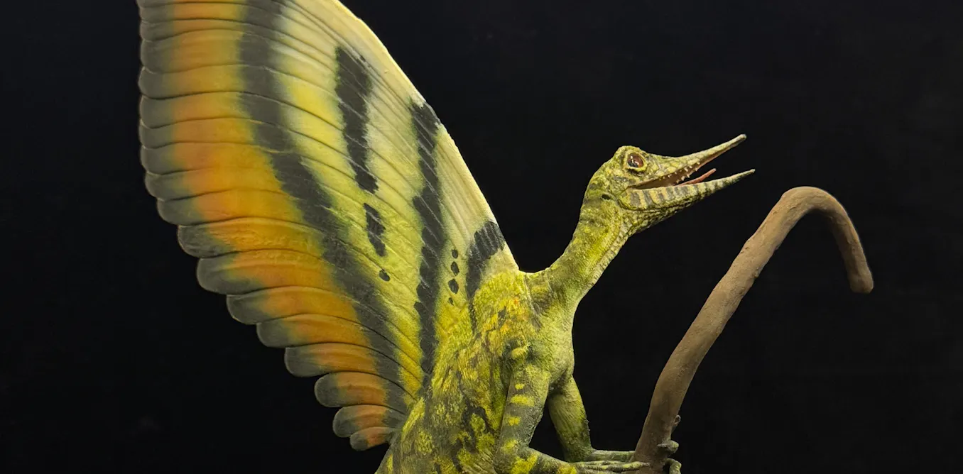 Mysterious fossil may rewrite story of skin and feather evolution in reptiles