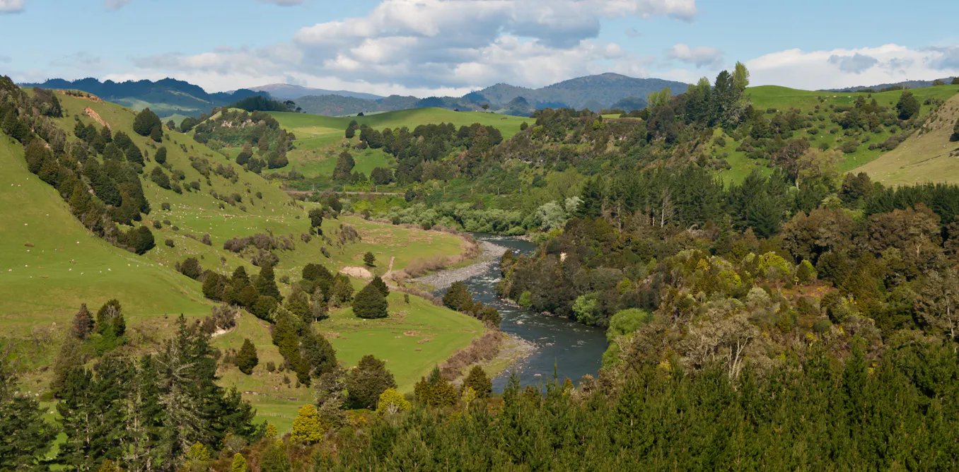 How the nature of environmental law is changing in defense of the planet and the climate