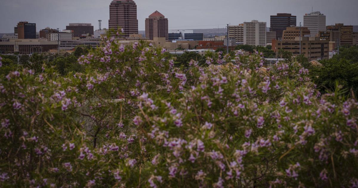 New Mexico ranks No. 44 on CNBC’s top US states for business
