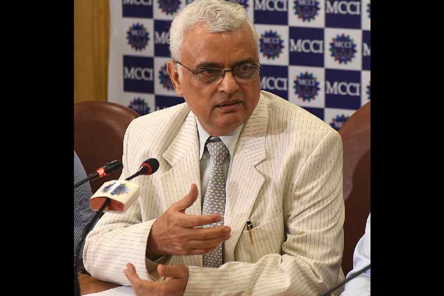 Not your business, Election Commission told: Poll panel ticked off on citizenship verification