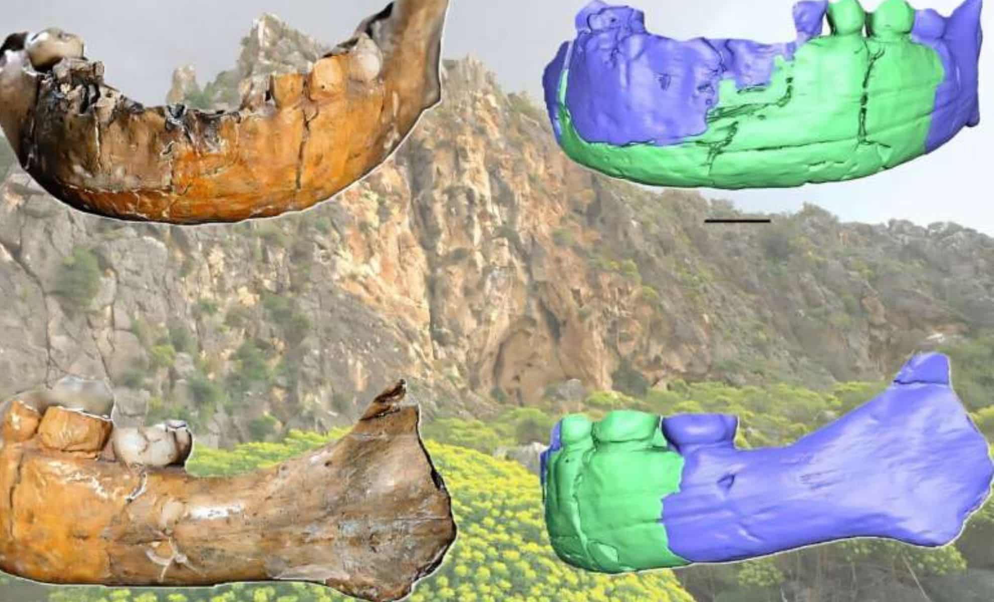 New Skhūl I Skull Analysis Could Change Everything We Know About Early Human Evolution
