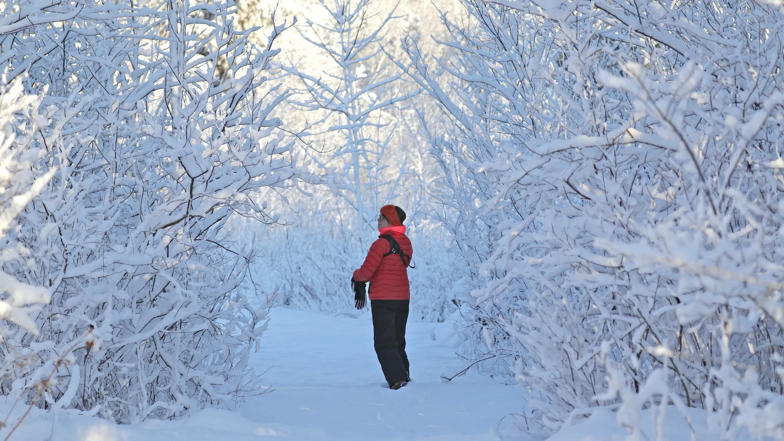 Climate change is a pocketbook issue, report shows. It affects tourism, health, industry.