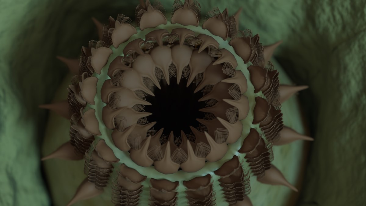 Treasure trove of half-billion-year-old animal fossils found in Grand Canyon