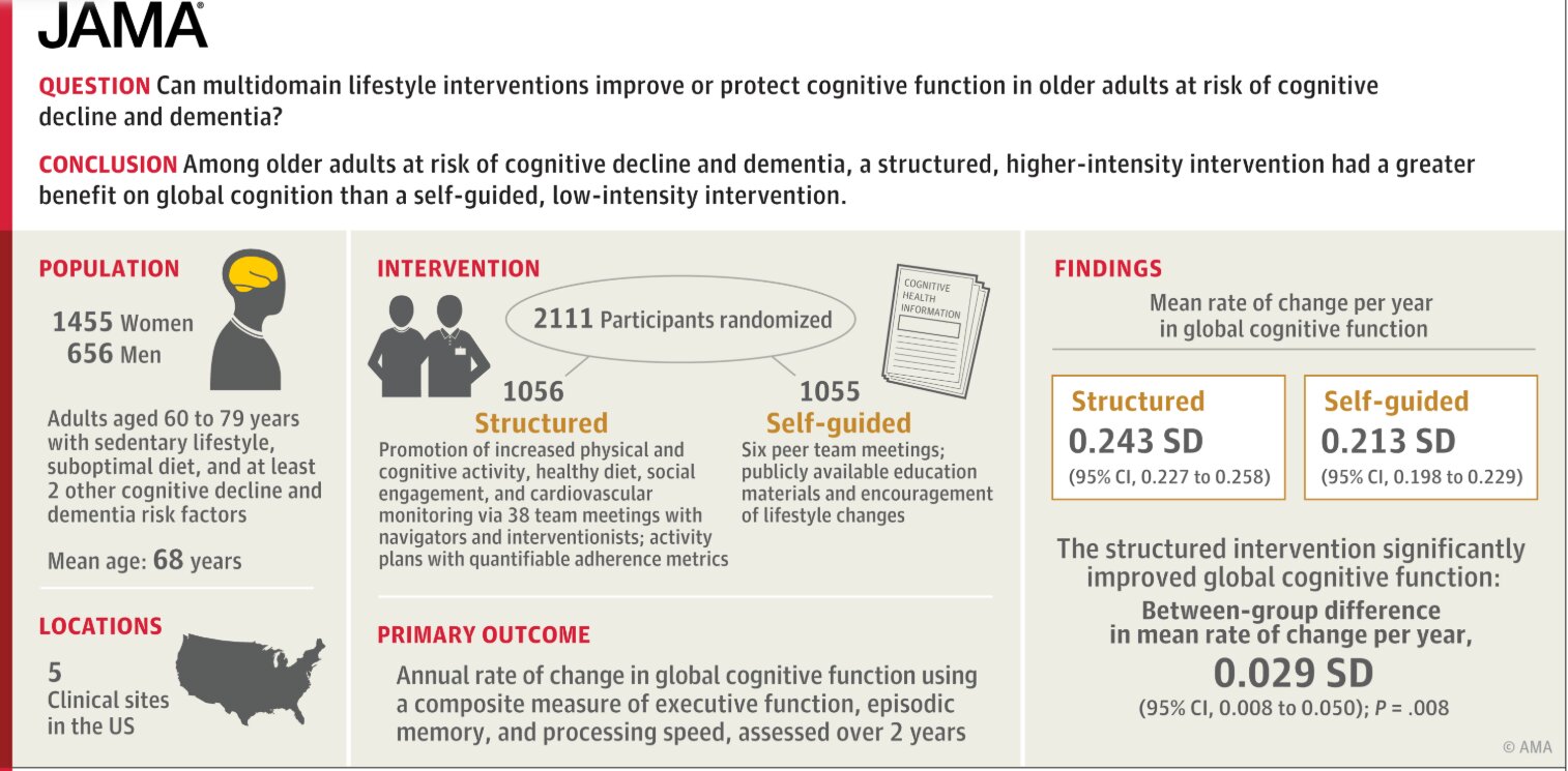 Structured lifestyle program improves cognition in at-risk older adults
