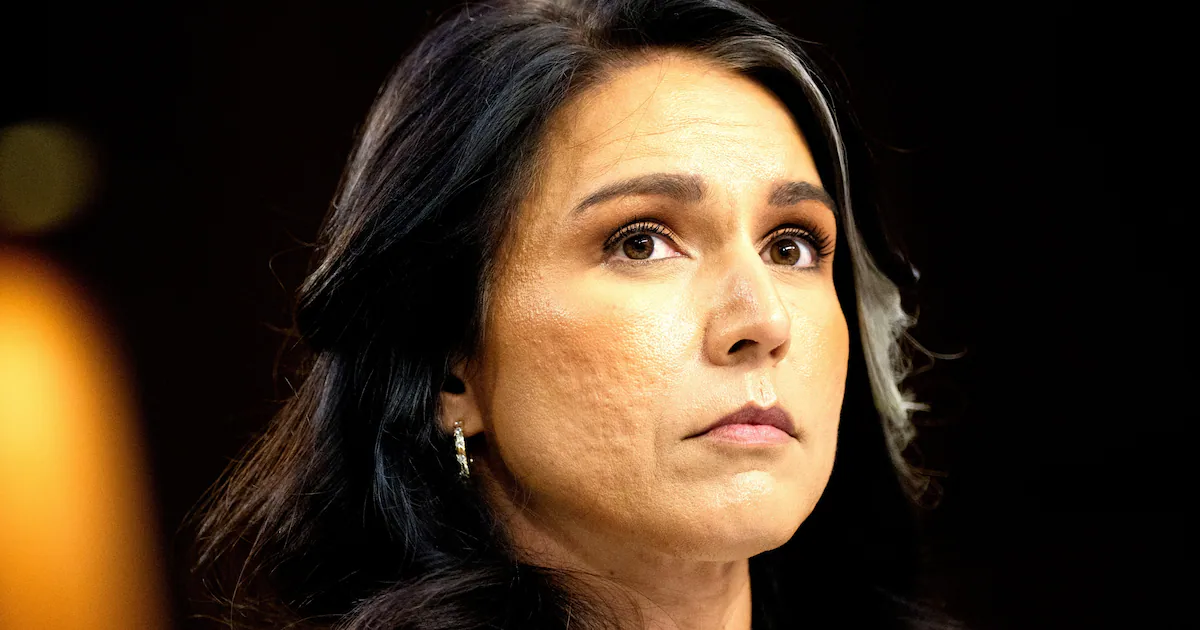 Gabbard Makes Baffling Obama Document Promise as White House Panics Over Epstein
