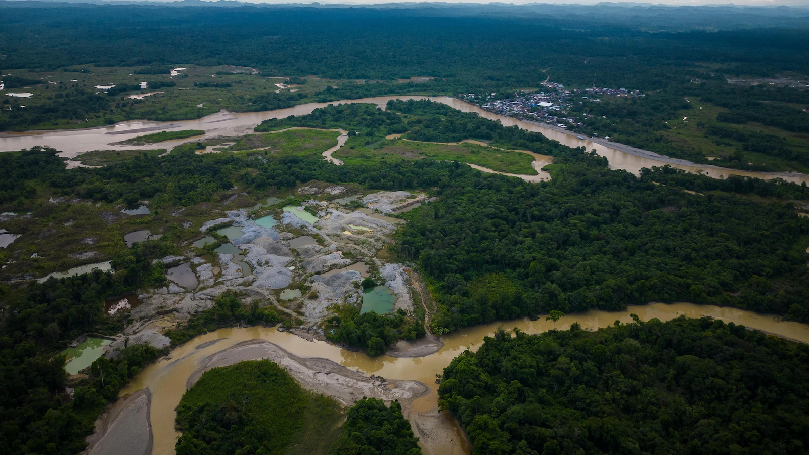 Over 90 arrests made in global crackdown on environmental crime in the Amazon Basin