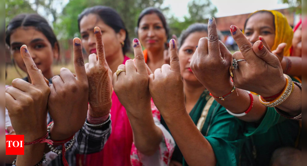 Bihar voter list revision: 20 lakh deceased, over 7 lakh duplicate voters - EC gives update on SIR e