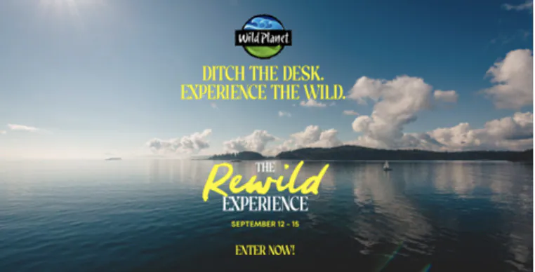Nature-Connected Lifestyle Campaigns