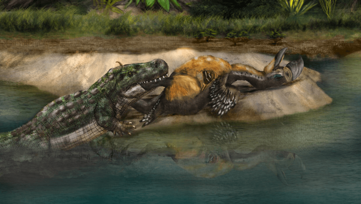 Terror Bird’s Mangled Leg Suggests It Died In The Jaws Of A Caiman 15 Million Years Ago