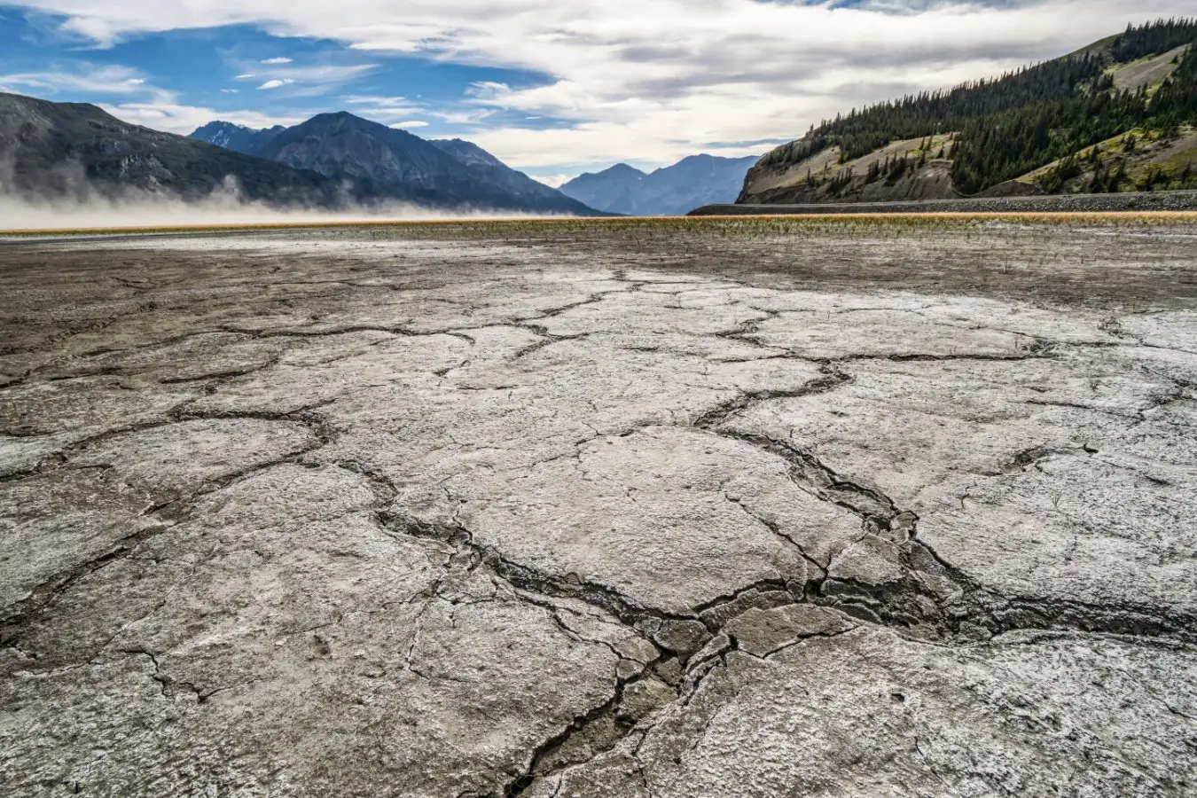 We are undergoing unprecedented loss of freshwater across the planet
