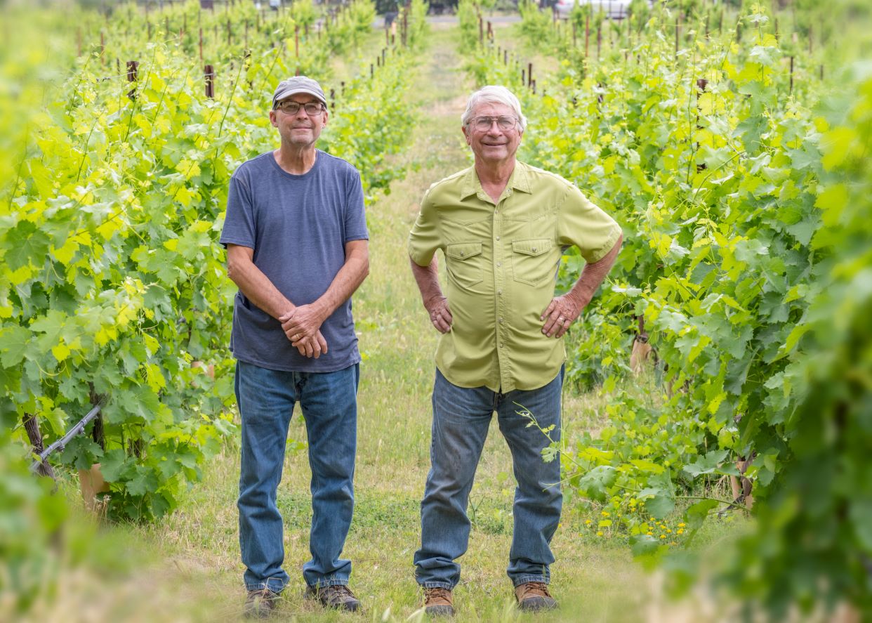 Salt Mine Wine Blends Family, Sustainability, Italian Inspiration