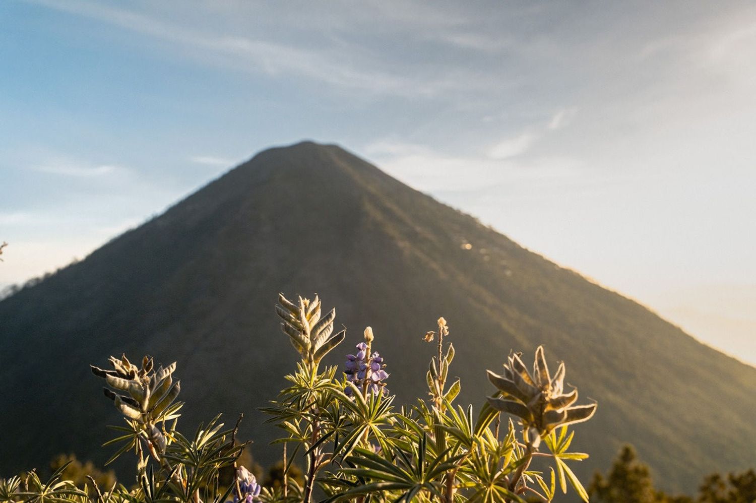 I Was Told I Might Never Walk Again—so I Hiked a Volcano in Guatemala