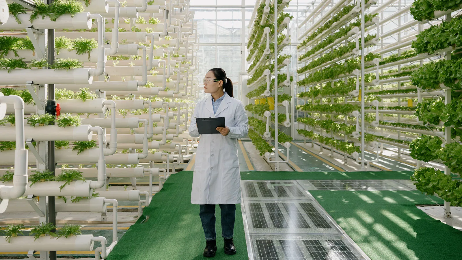 Successful Co-investment Models that Transform Global Agrifood Systems