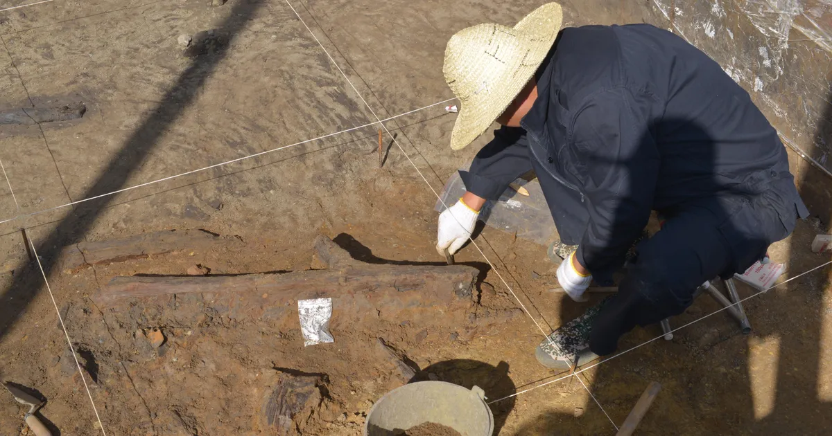 Rare wooden tools from 300,000 years ago found in China