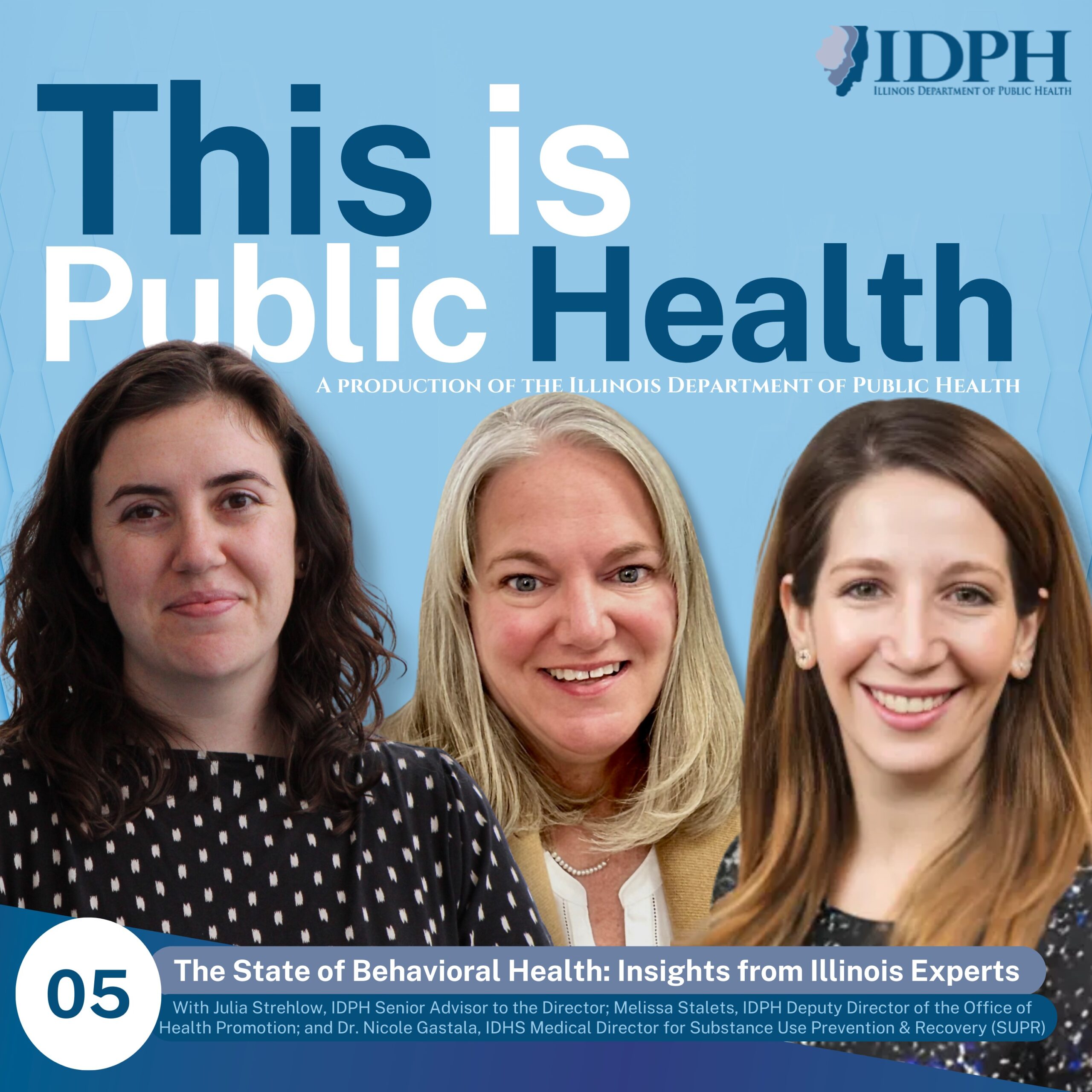 The State of Behavioral Health: Insights from Illinois Experts
