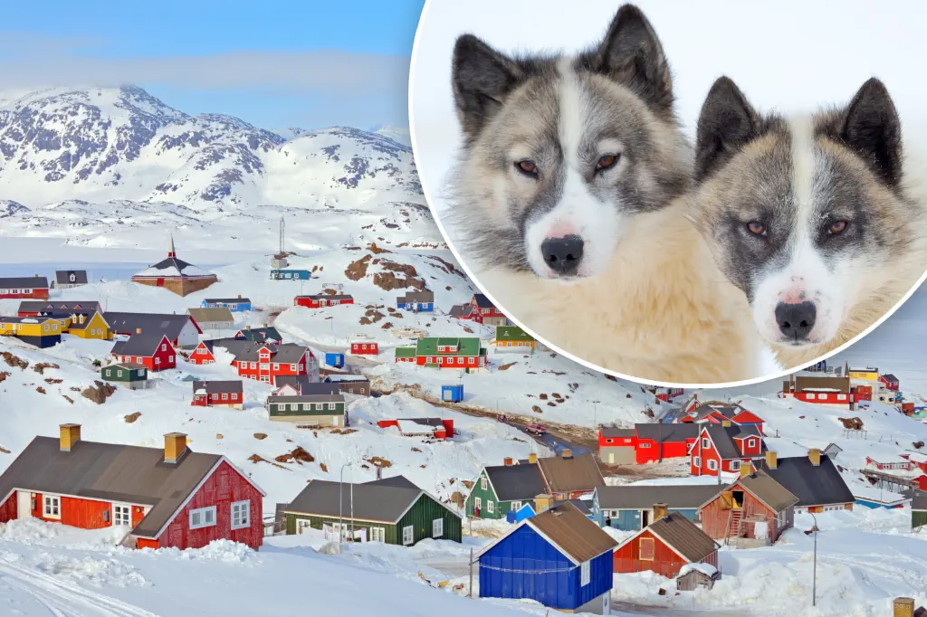 World's oldest domesticated dog breed has lived with humans for 1,000...