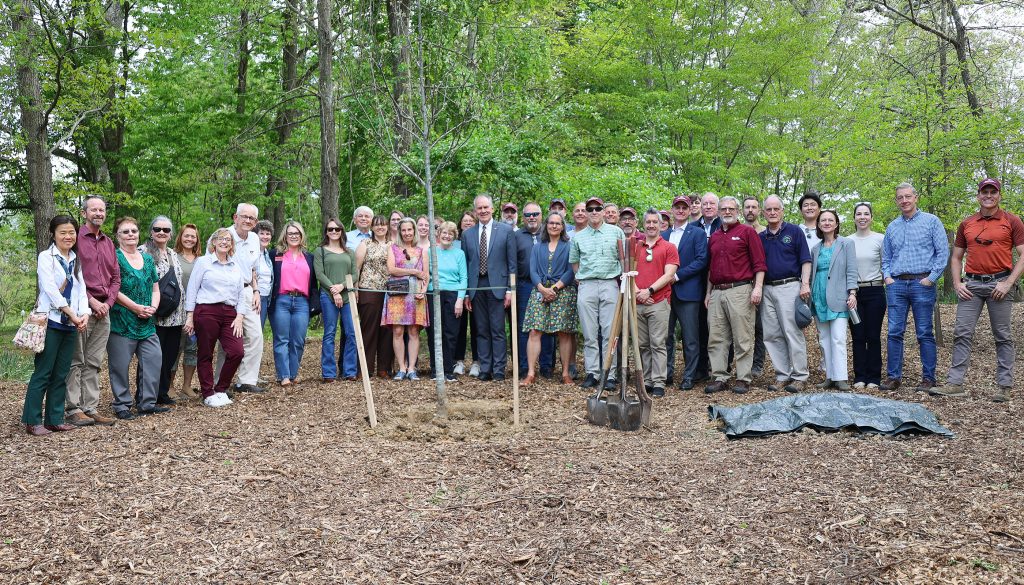 College of Natural Resources and Environment celebrates a century of forestry education