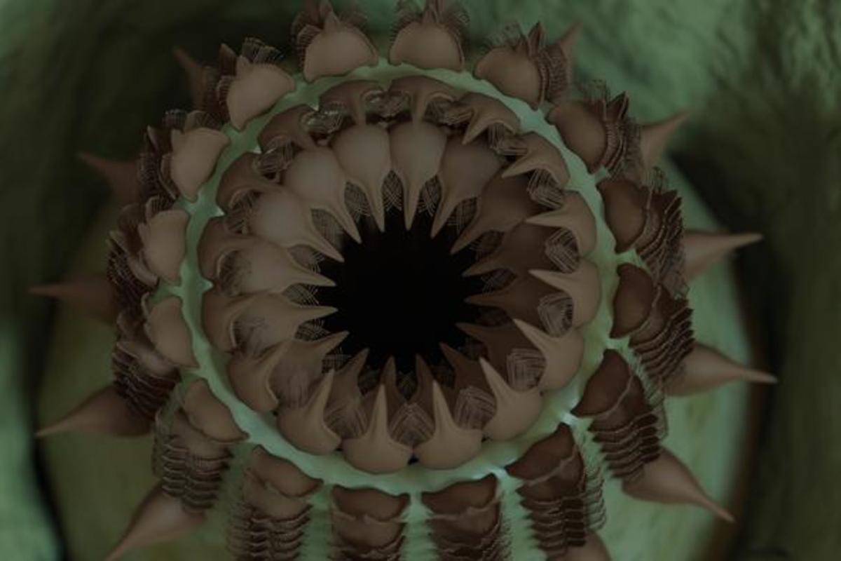 Spike-Toothed Worm and Other Creatures Lived in Grand Canyon 500 Million Years Ago