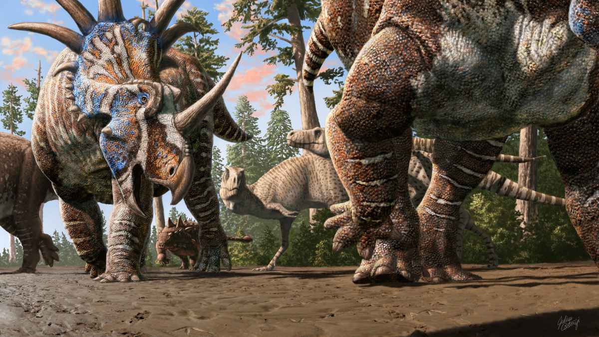Fossil trackway in Canada is the first evidence that different dinosaur species herded together