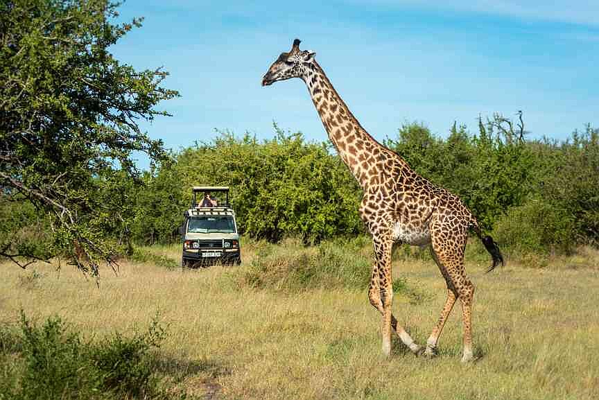 Key takeaways from Travel + Leisure’s 2025 World’s Best Awards