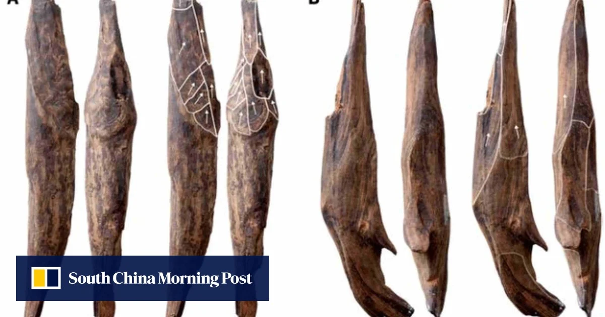 Tools unearthed in China are first evidence of East Asia’s ‘Wood Age’