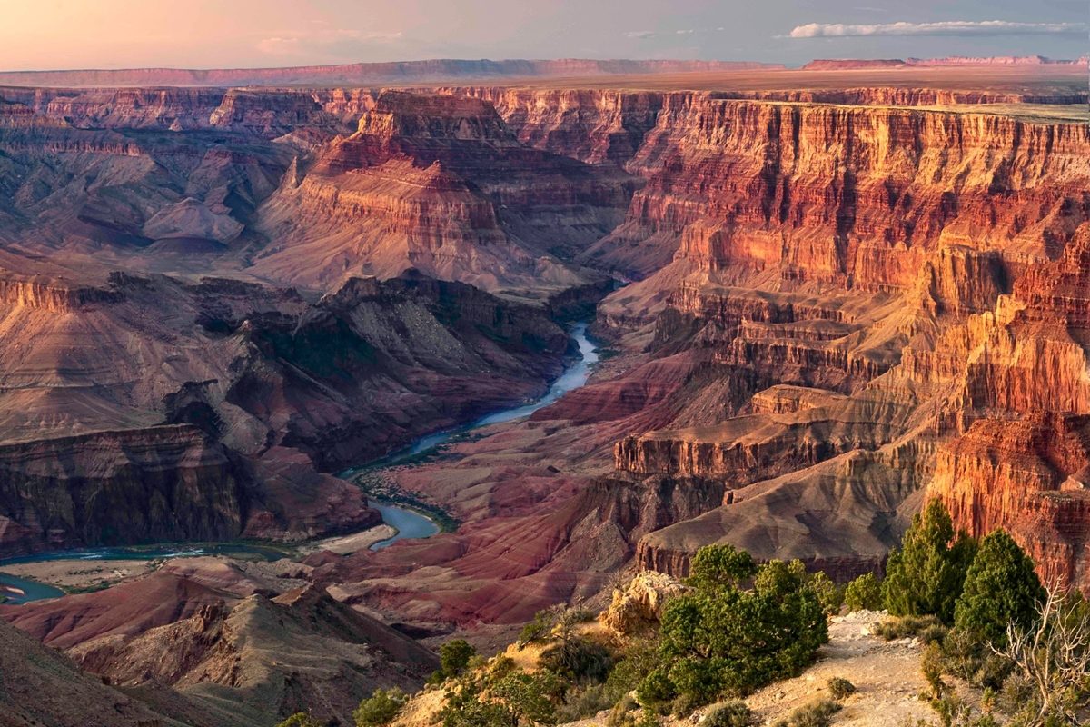 Expedition finds rare and exquisite trove of ancient animals deep in Grand Canyon
