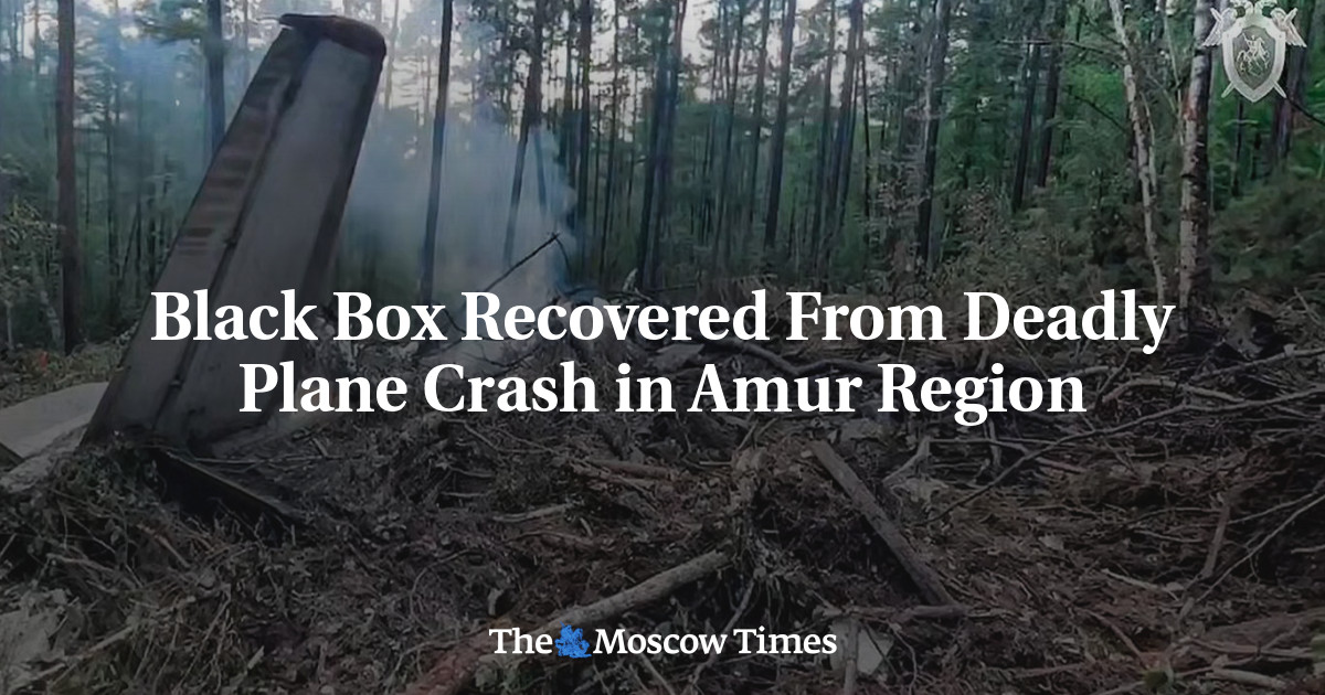 Black Box Recovered From Deadly Plane Crash in Amur Region