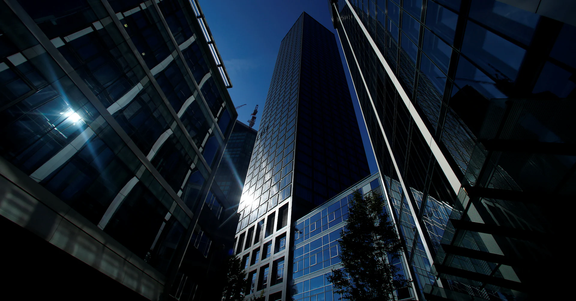 German business sentiment rises to highest level in more than a year