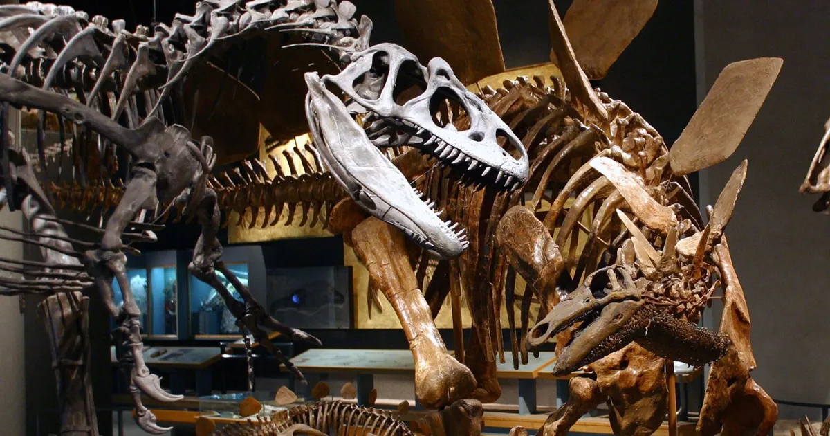 Denver science museum finds dinosaur fossil under its parking lot