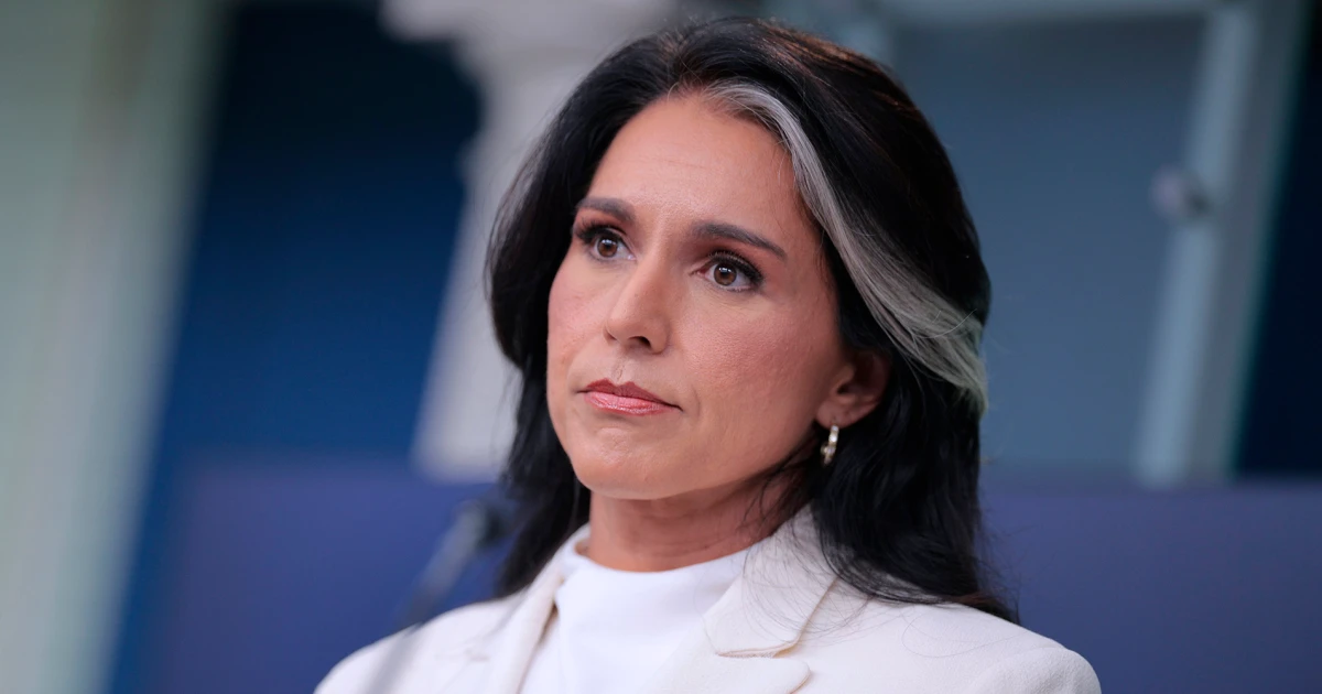 Gabbard and White House 'lying' about intel on Russian interference in 2016, ex-CIA official says