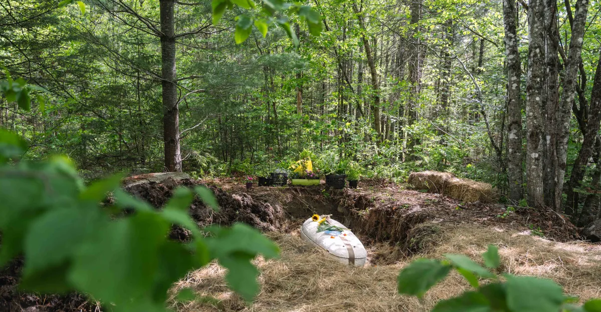 Environment