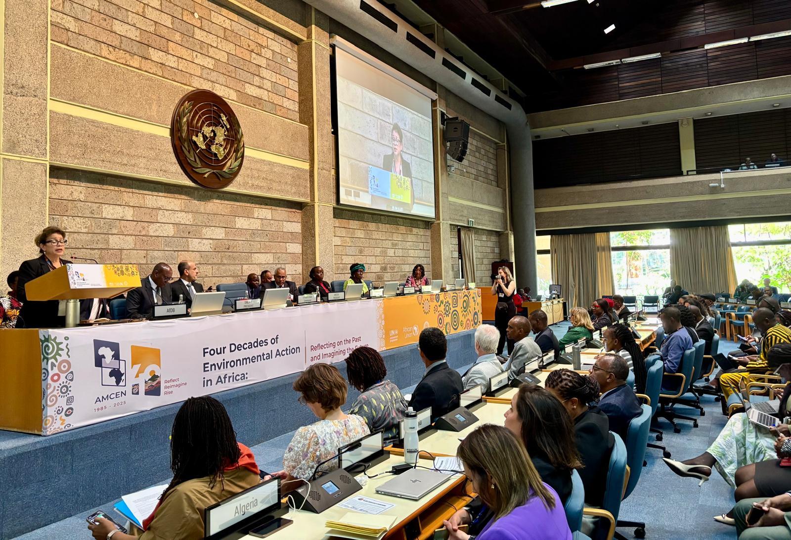 African Ministerial Conference on the Environment (AMCEN) High-level Special Session: Remarks by CIT