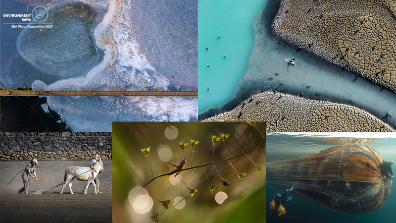 Public and jury chose the winning images of “Environment&Me 2025” photo competition