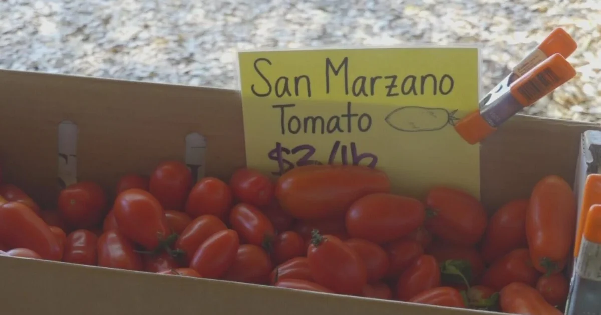 Placer County farmer fed up after repeated fruit thefts take toll on business
