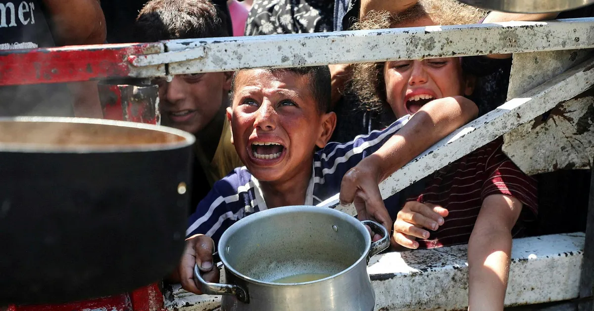 10 Palestinians died from malnutrition in past day, Hamas-run Gaza Health Ministry says