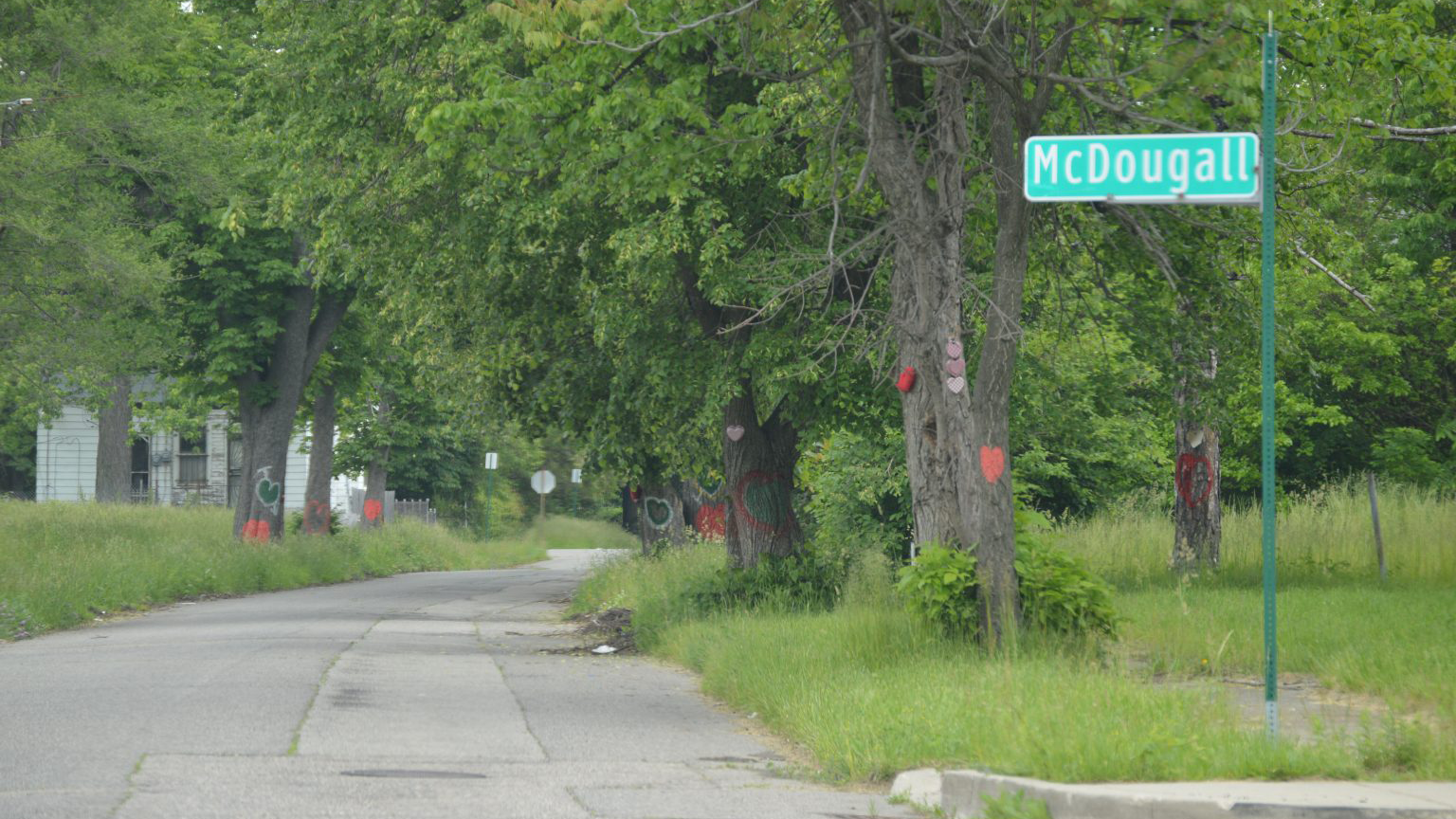 Past environmental injustices shape today's tree canopy
