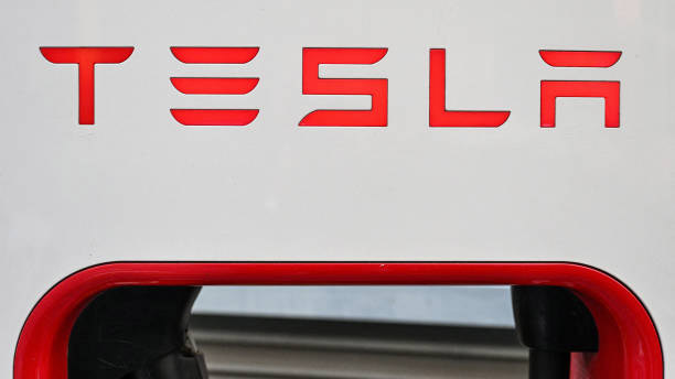 Tesla's Business Is in Decline, Says Ross Gerber