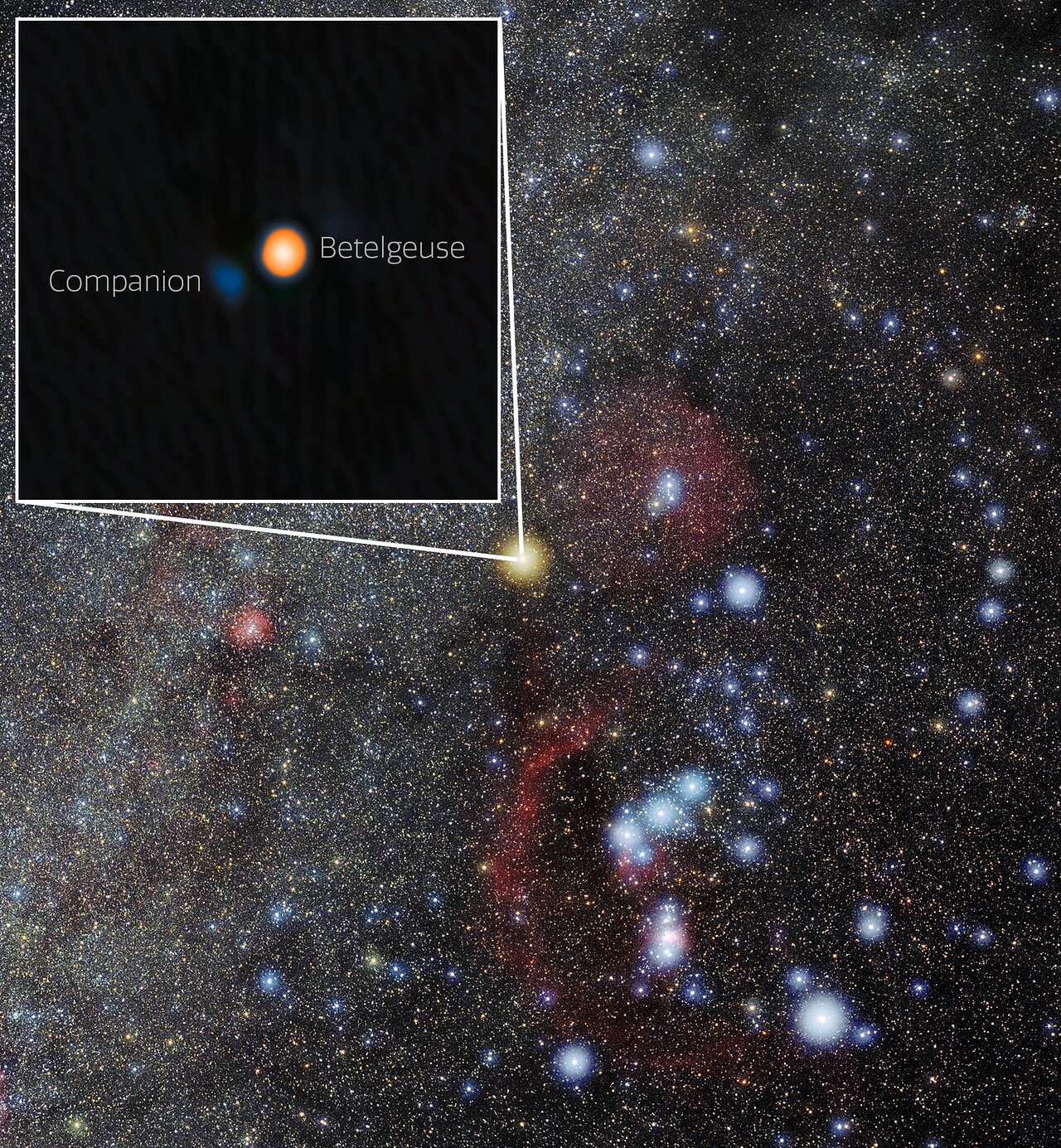 Betelgeuse’s long-lost companion emerges from the shadows