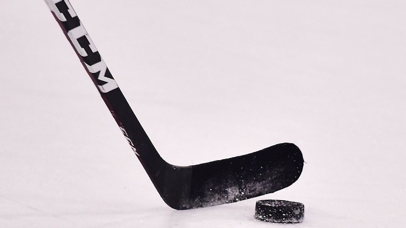Tennessee St. delays hockey debut until 2026-27