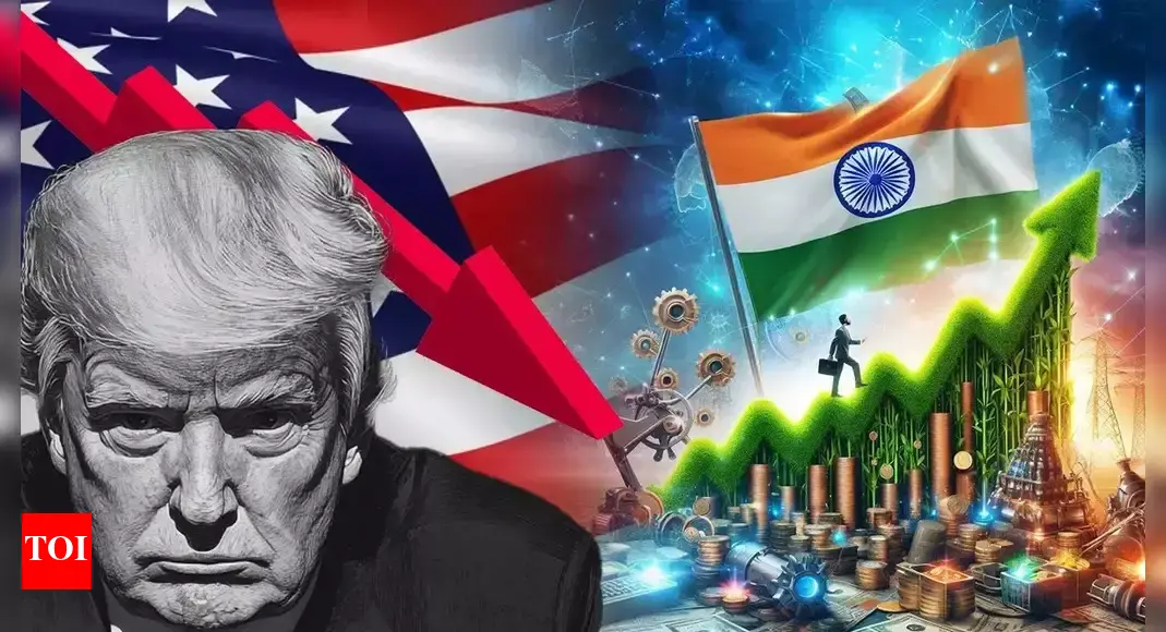 Donald Trump’s 25% tariff, ‘dead economy’ jibe: India's clear message to US in 5 points - what Piyush Goyal said